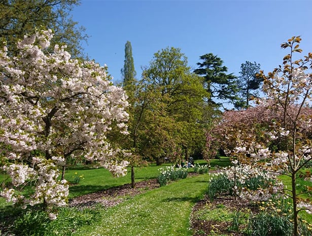 Reading Harris Garden