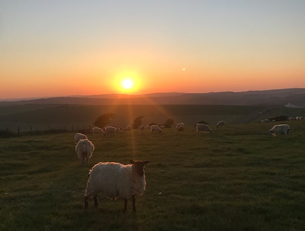 Sussex sunset