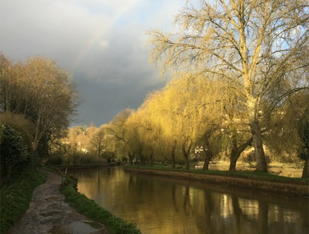 River Wey, Guildford