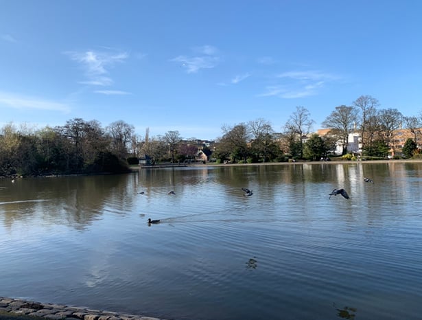 The Leazes Park, Newcastle
