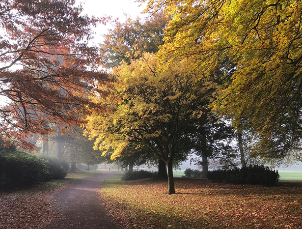 Wolverhampton West Park