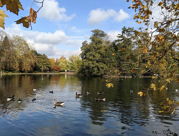 West Park Lake, Wolverhampton