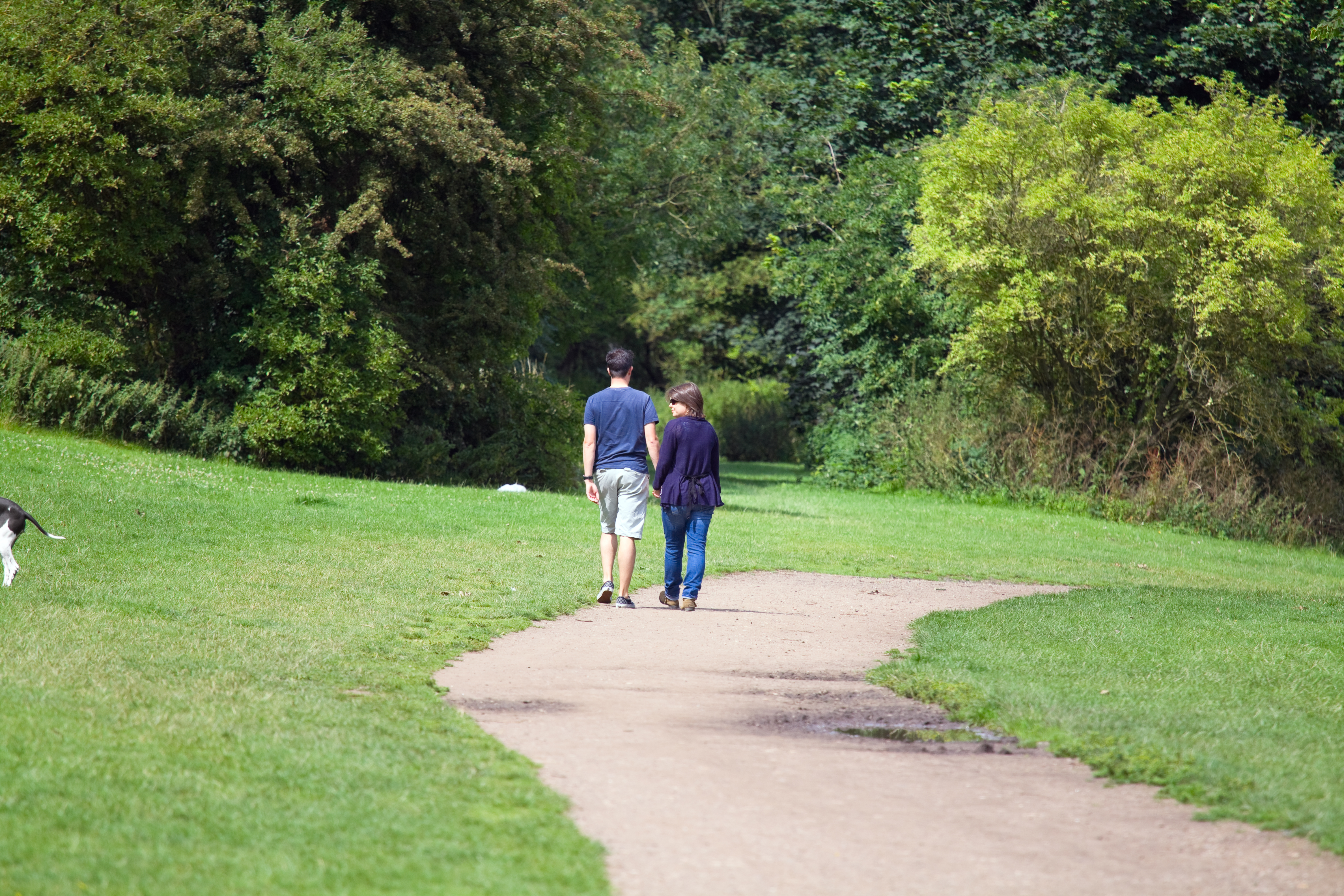 Derby city guide darley park