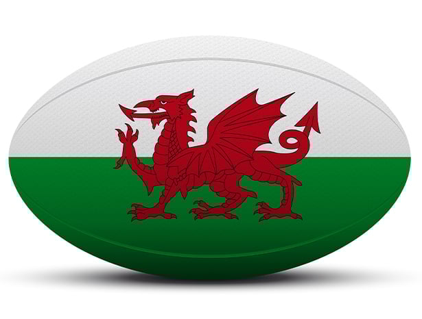 Welsh rugby ball