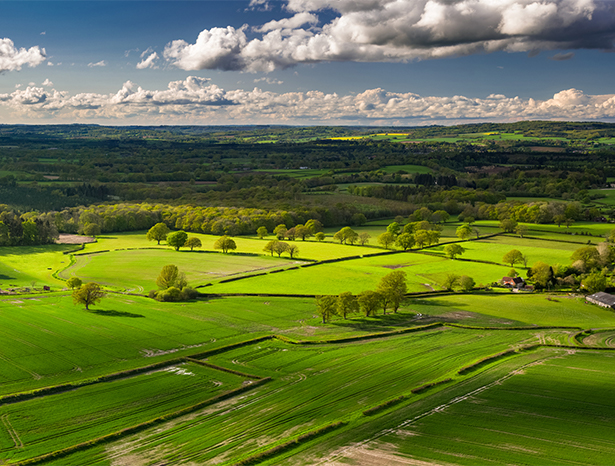 West Sussex countryside