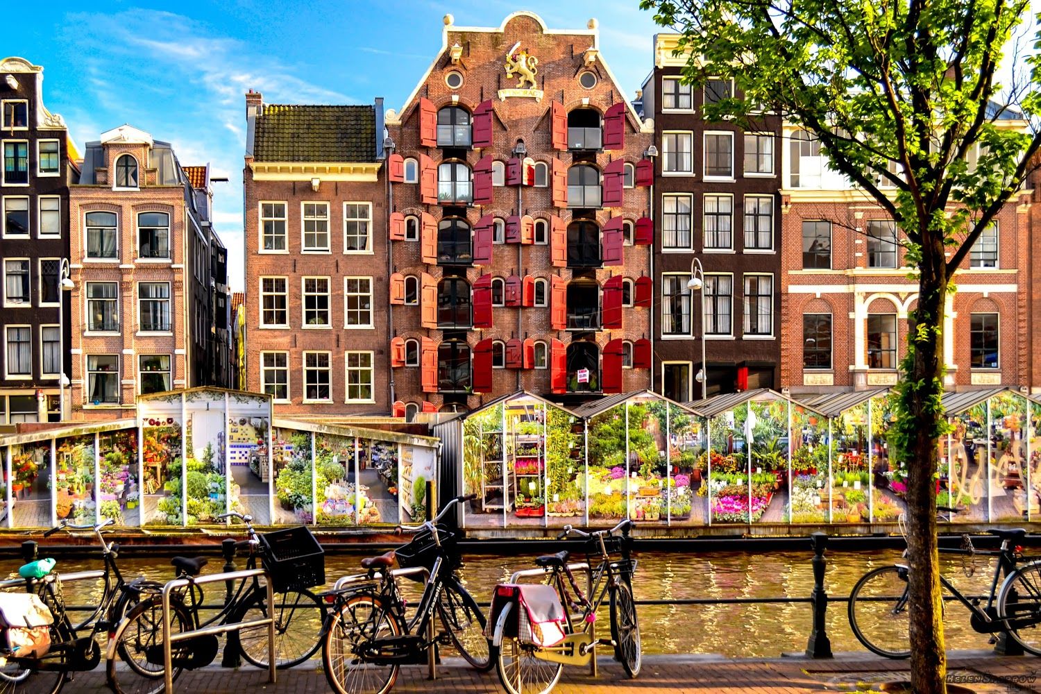 Amsterdam Pass