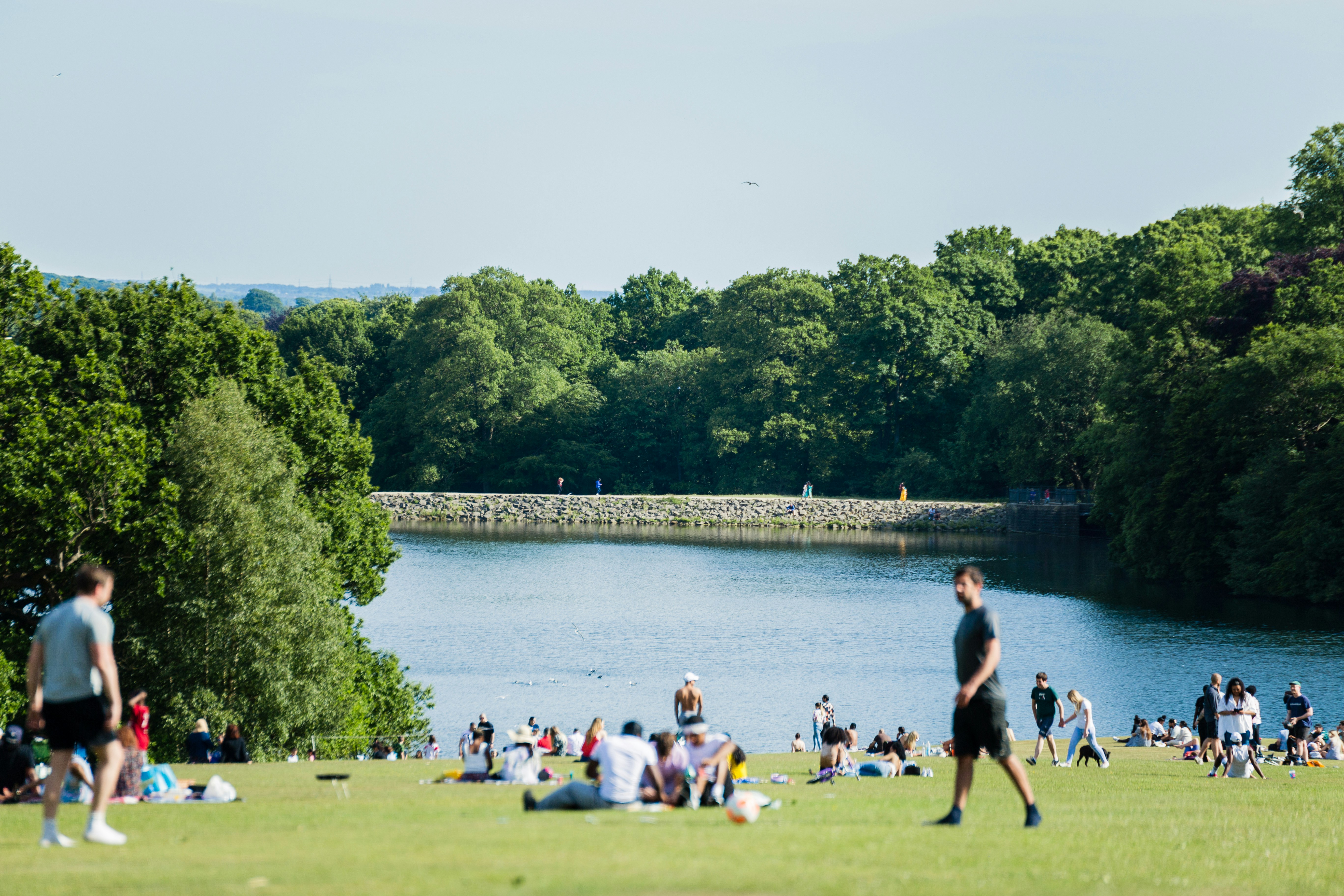 Roundhay Park, Leeds