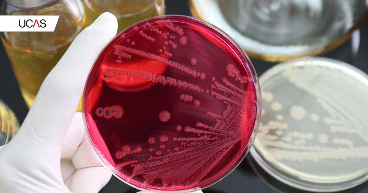 Biological Sciences Subject Guide Why Study Biological Sciences? UCAS