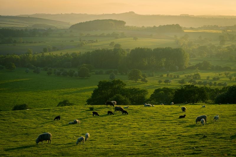 Yorkshire Dales landscape