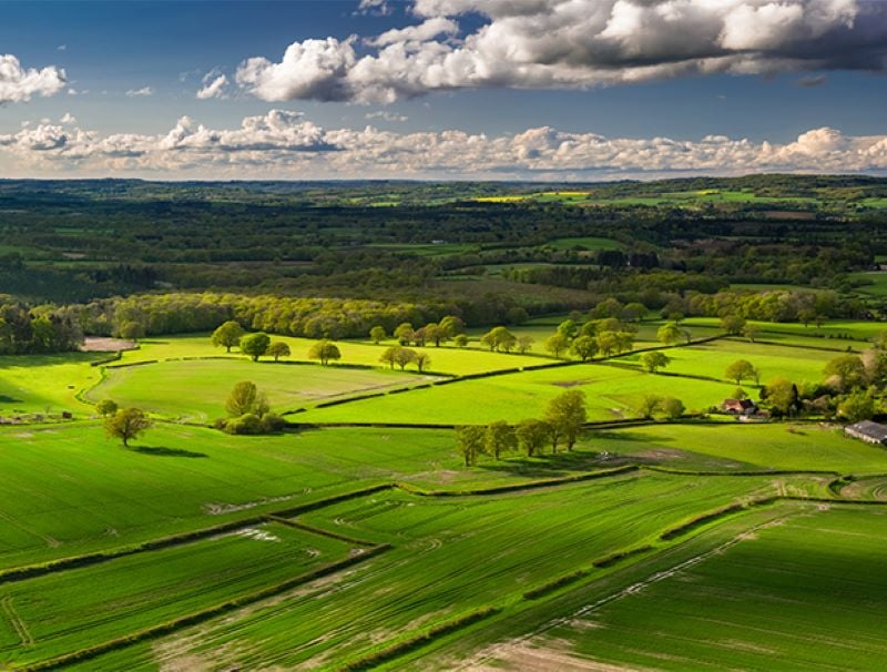 Chichester countryside