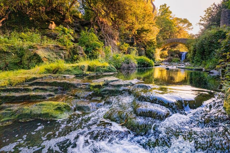 Jesmond Dene, Newcastle