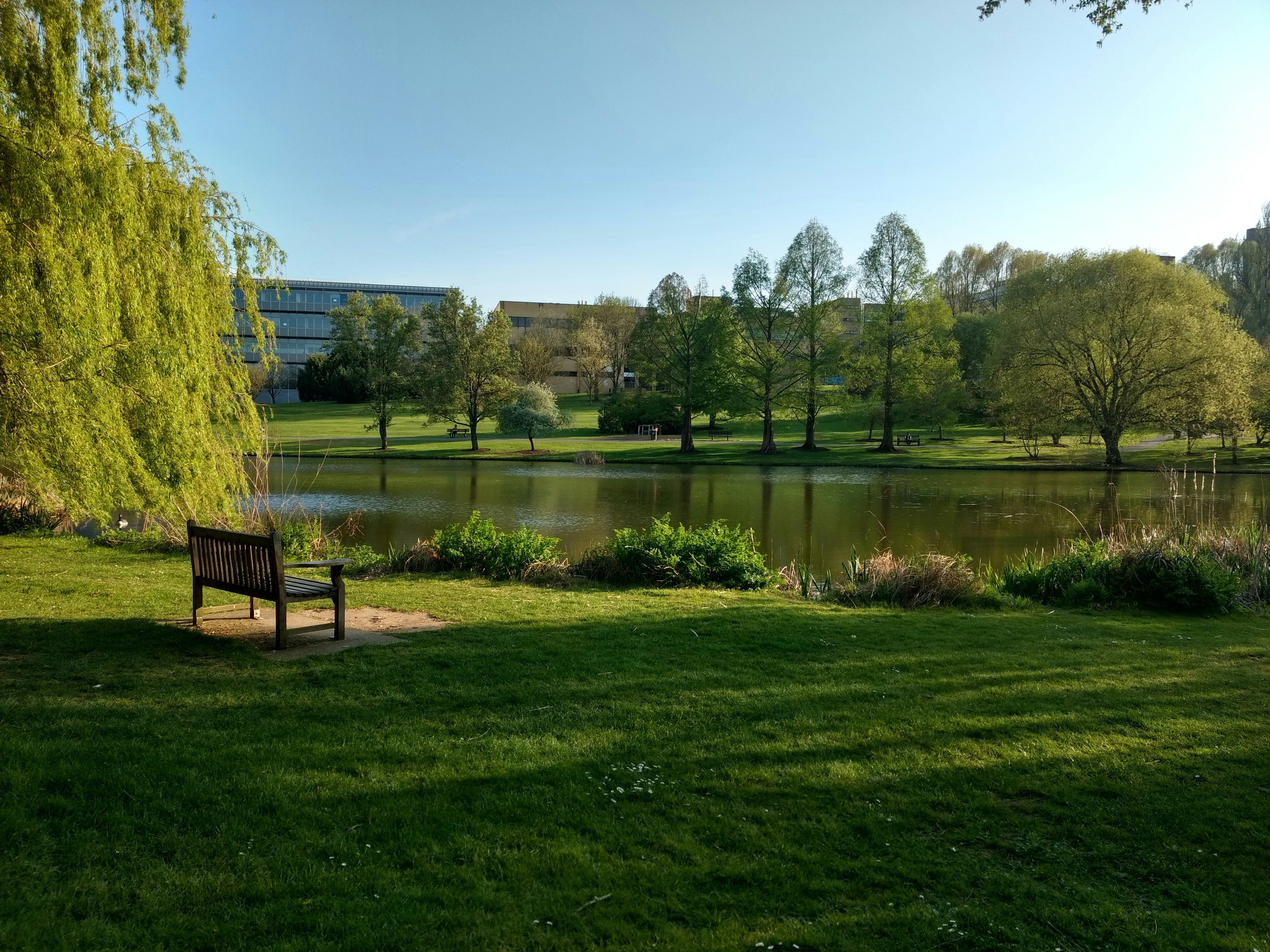 university of surrey, guildford