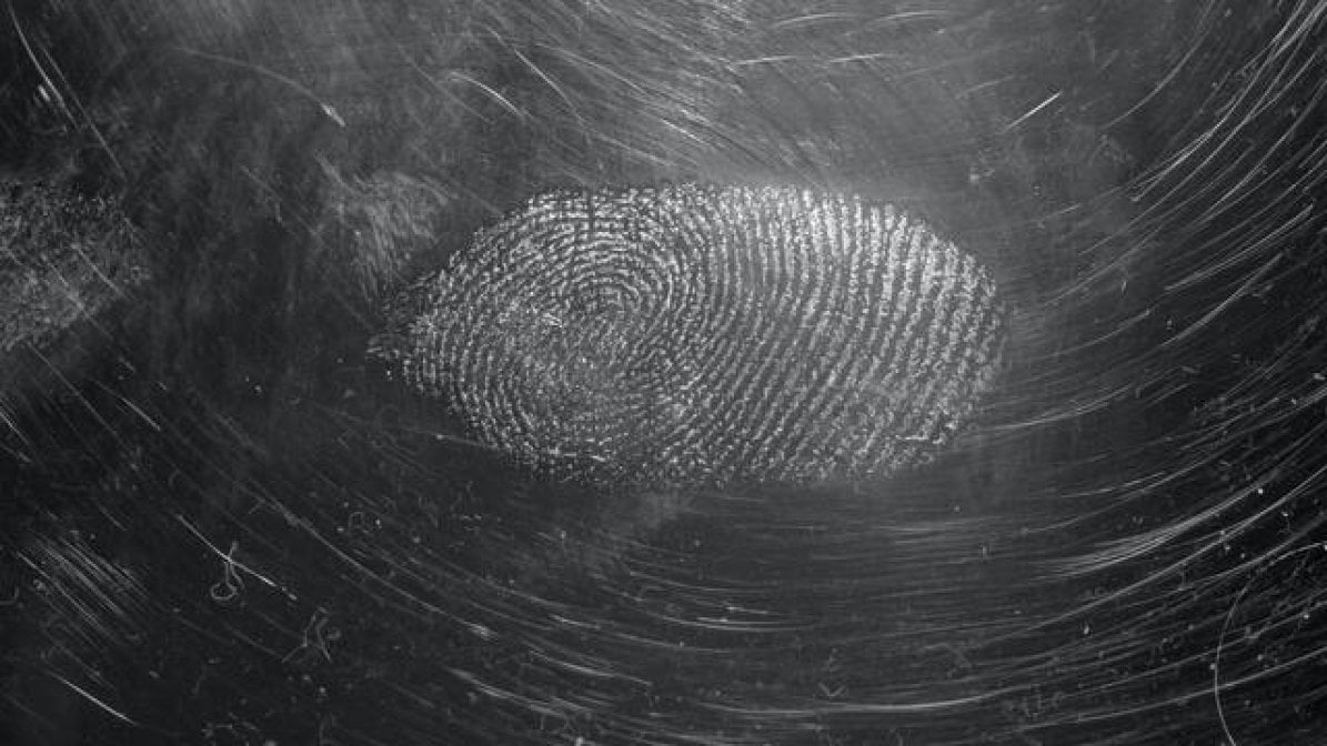Digital image of thumbprint