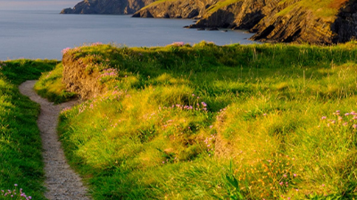 Cliffs and coast, Dyfed