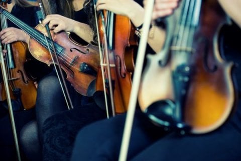 Close-up of string instruments