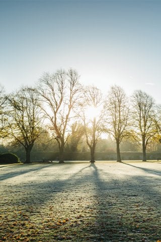 Frosty field in Leicestershire