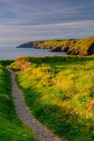 Cliffs and coast, Dyfed