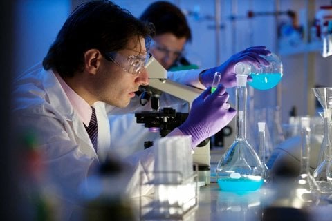 Scientists in lab