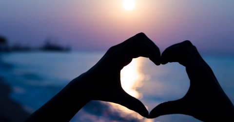 Hands in heart shape 
