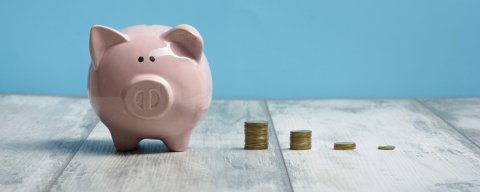 Piggy banks and coins