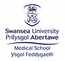Swansea University Medical School